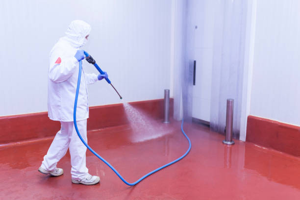 Best Driveway Pressure Washing  in Lake Arrowhead, CA